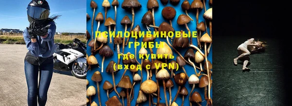a pvp Белоозёрский