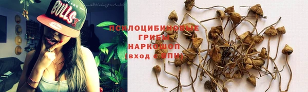 a pvp Белоозёрский