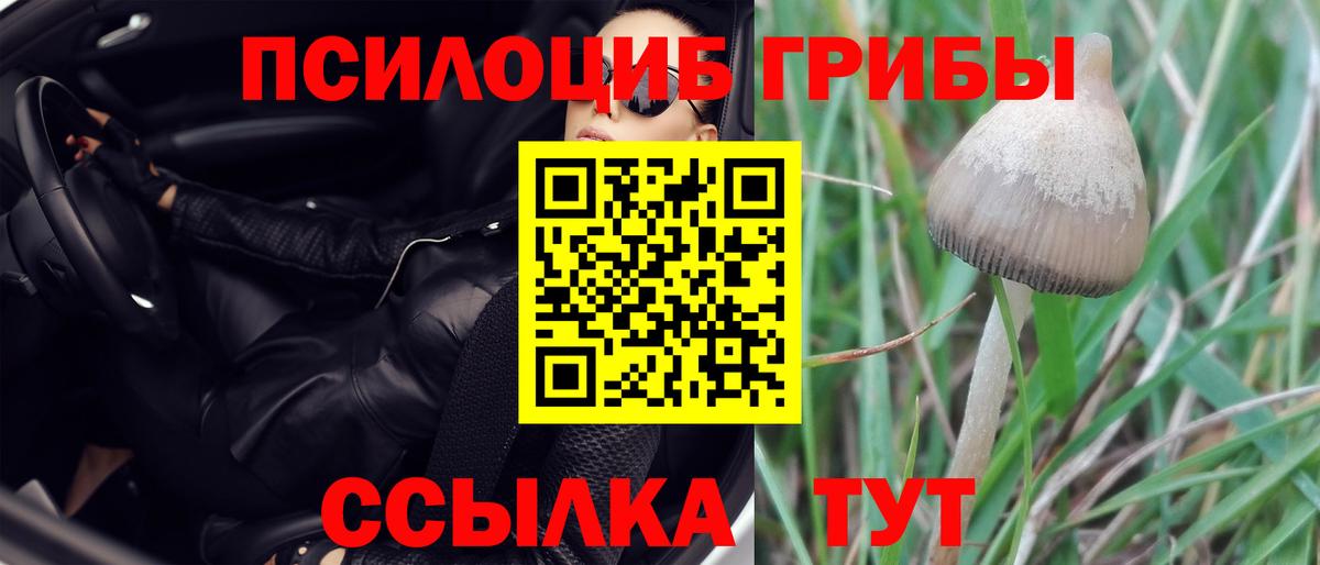 Сердобск  Галлюциногенные грибы ЛСД  Псилоцибиновые грибы мухоморы  Вход с VPN 